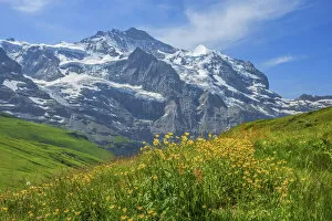 Images Dated 1st September 2021: Kleine Scheidegg with Jungfrau, Bernese Alps, Berner Oberland, Grindelwald, canton Berne