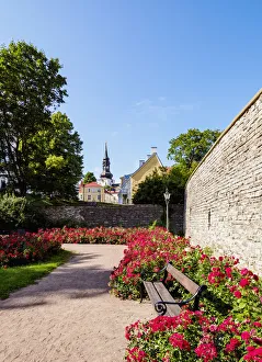 Tallinn Prints: Komandandi Garden, Old Town Walls, Tallinn, Estonia