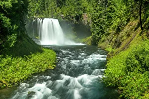 Temperate Rain Forest Prints: Koosah Falls, Willamette National Forest, Oregon, USA