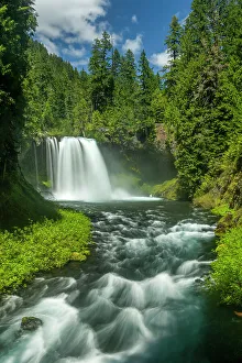 Environment Prints: Koosah Falls, Willamette National Forest, Oregon, USA
