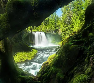 Temperate Rain Forest Prints: Koosah Falls, Willamette National Forest, Oregon, USA