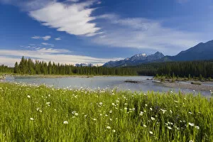 Images Dated 22nd April 2008: Kootenay National Park, British Columbia, Canada