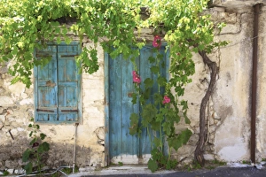 Neil Farrin Gallery: Kritsa, Crete, Greek Islands, Greece, Europe