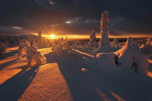 Polar Region Prints: Kuertunturi, in the Yllas-Pallastunturi National Park, Lapland, Finland