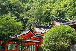 Pilgrim Prints: Kumano Kodo pilgrimage route, Kumano Nachi Taisha World heritage, Japan