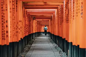 Gate Prints: Kyoto Japan. Fushimi Inari Taisha Shrine with guardian at sunrise