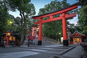 Tunnel Prints: Kyoto Japan. Fushimi Inari Taisha Shrine at sunrise