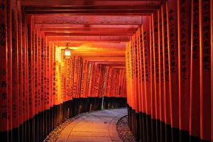 Gate Prints: Kyoto Japan. Fushimi Inari Taisha Shrine at sunrise