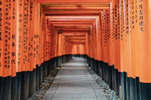 Tunnel Prints: Kyoto Japan. Fushimi Inari Taisha Shrine at sunrise