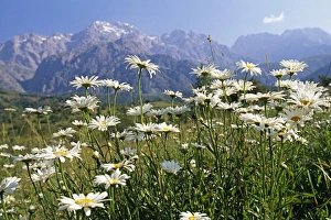 Central Asian Gallery: Kyrgyzstan, Arslanbob, Fergana Mountain Range