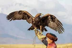 Hunter Gallery: Kyrgyzstan, Issyk Kul Lake, golden eagle hunter