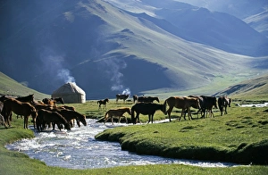 Central Asian Gallery: Kyrgyzstan, Tash Rabat Valley