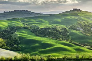 Farmland Collection: La Crete Senesi, Tuscany, Italy
