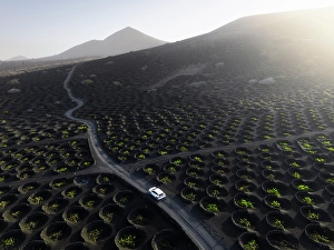 Black Prints: La Geria, Las Palmas, Lanzarote, Canary Islands, Spain