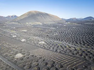 Volcanic Landscape Prints: La Geria volcanic landscape with vineyards, Lanzarote, Canary Islands, Spain