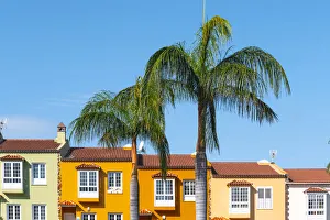Images Dated 8th October 2021: La Orotava, Tenerife, Canary Islands, Spain