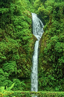 Fresh Water Prints: La Paz Waterfall