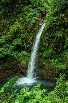 Flowing Water Prints: La Paz Waterfall