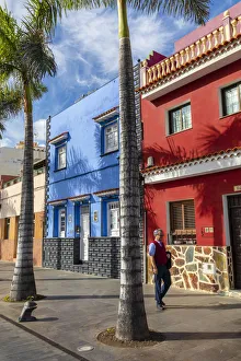 1 Person Prints: La Ranilla, Old Town, Puerto de la Cruz, Tenerife, Canary Islands, Spain