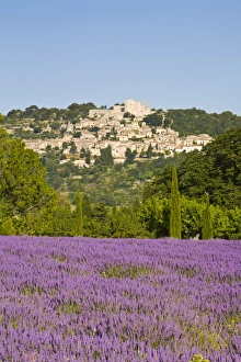 Lacoste & Lavender Fields, Luberon, Vaucluse Provence, France