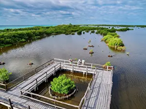Deck Prints: Lagoon Observation Deck at Punta Sur