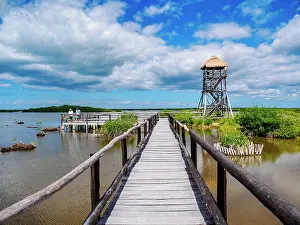 Deck Prints: Lagoon Observation Tower at Punta Sur, Cozumel Island, Quintana Roo State, Mexico