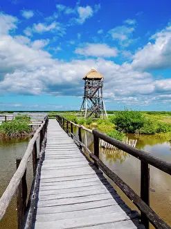 Deck Prints: Lagoon Observation Tower at Punta Sur, Cozumel Island, Quintana Roo State, Mexico