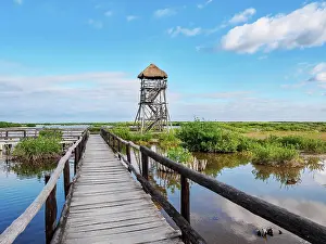 Deck Prints: Lagoon Observation Tower at Punta Sur, Cozumel Island, Quintana Roo State, Mexico