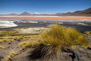 Picturesque Gallery: Laguna Colorada, Reserva Eduardo Avaroa, Bolivia