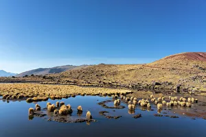 Cuzco Region Prints: Laguna with turfs of grass near Rainbow mountain