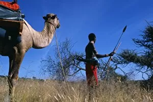 One Man Collection: Laikipiak msai lead the camels on a Camel trek at Sabuk