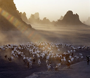 Pastoral Prints: Lake Abbe, on the border of Djibouti and Ethiopia