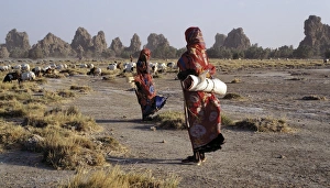 Pastoral Prints: Lake Abbe, on the border of Djibouti and Ethiopia