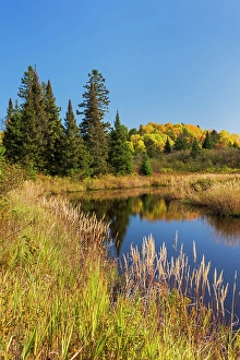 Lake in autumn, Worthington, Ontario, Canada