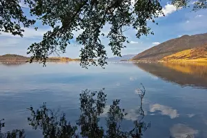Flamingos Prints: Lake Bogoria is one of a series of alkaline lakes in Kenyas Rift Valley system