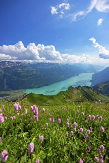 Lake Brienz Prints: Lake Brienz from Brienzer Rothorn mountain, Brienz, Switzerland