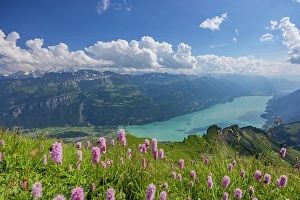 Lake Brienz Prints: Lake Brienz from Brienzer Rothorn mountain, Brienz, Switzerland