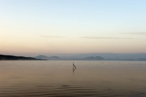 Lake Elementaita with fence post re-dawn, Kenya
