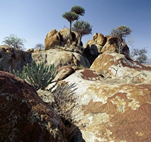 African Countryside Gallery: Lake Eyasis impressive western escarpment