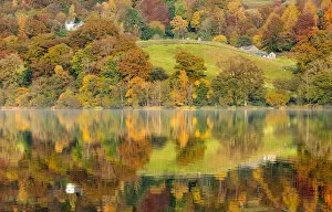 Images Dated 15th April 2016: Lake Grasmere in autumn, Cumbria, UK
