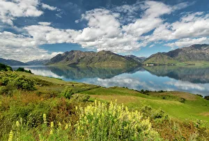 Lake Hāwea Reflections, South Island, New Zealand