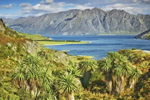 Southern Alps Prints: Lake landscape with palms at Lake Hawea - New Zealand, South Island, Otago