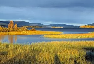 Lake in Laponia World Heritage Site