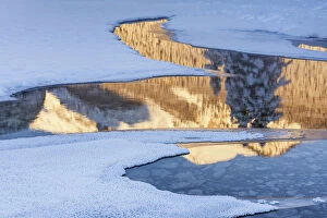 Images Dated 1st March 2017: Lake Louise Winter Reflections, Banff National Park, Alberta, Canada