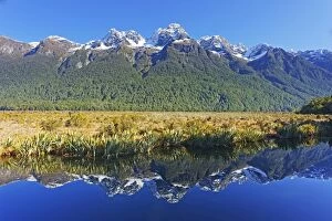 Images Dated 30th August 2012: Lake Matheson reflections, Fiordland National Park, Milford Sound, South Island