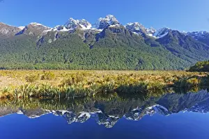 Mount Tasman Prints: Lake Matheson reflections, Fiordland National Park, Milford Sound, South Island