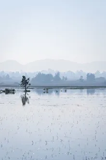 Kayah State Prints: Lake Ngwe Taung Dam against sky near Demoso on early morning, Demoso Township