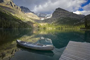 Images Dated 5th March 2008: Lake O Hara, Yoho National Park, British Columbia, Canada