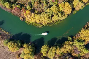 Lake Skadar Prints: Lake Skadar (Lake Shkodra), Montenegro