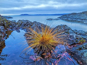 Lake Superior Prints: Lake Superior Provincial Park, Ontario, Canada